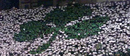 Cluburile elene Giannina si Panathinaikos, excluse din Europa League